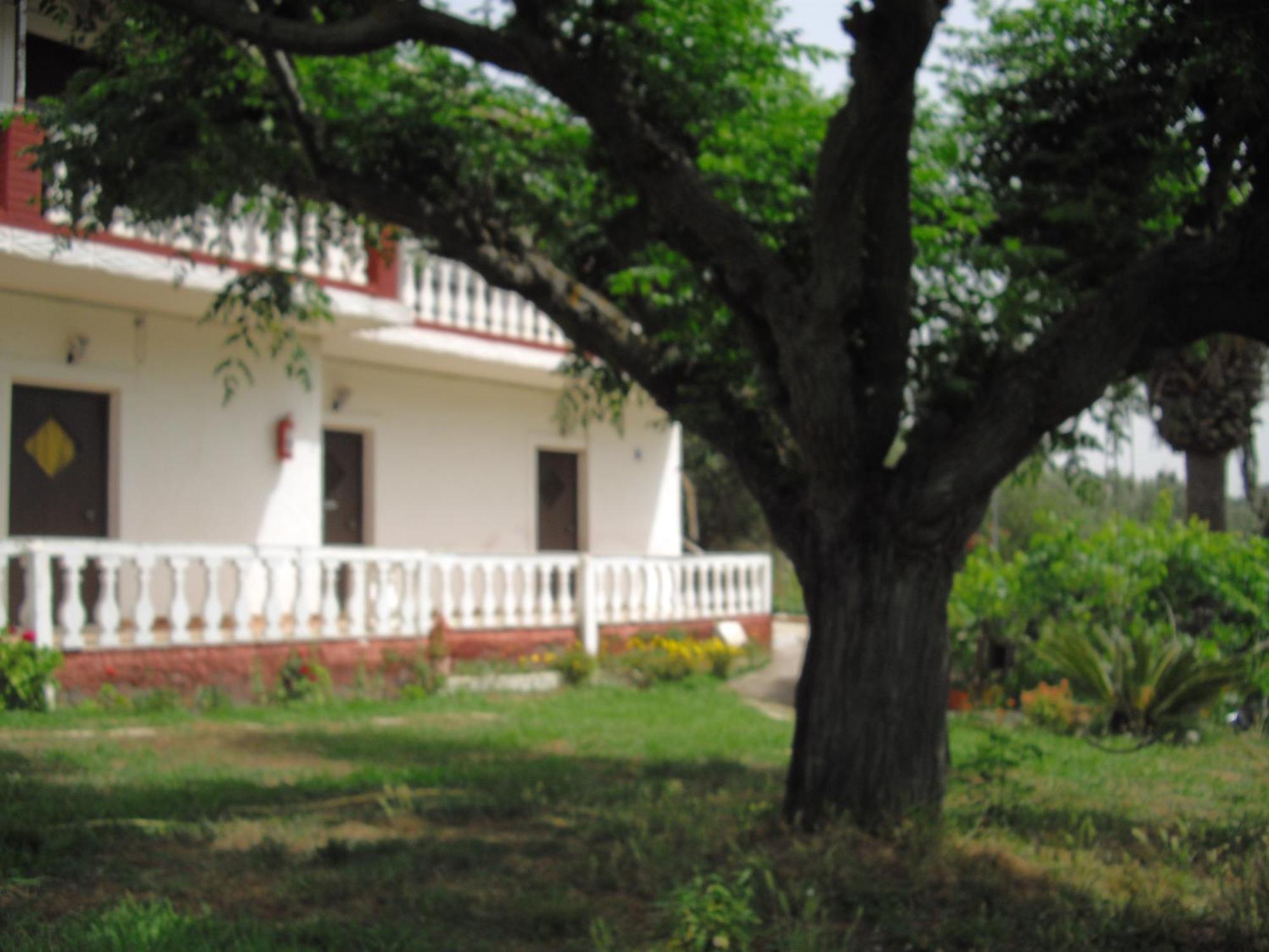 Corfu Country House Vitalades Room photo